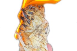 aanmaakkrullen kopen kachel aansteken met wokkels van STOCERS